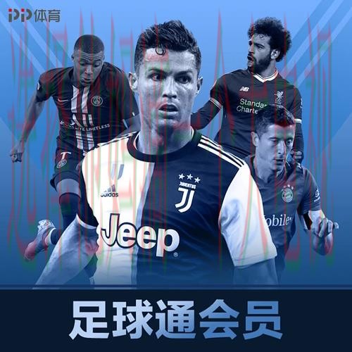 全面解读FB体育官方链接详情