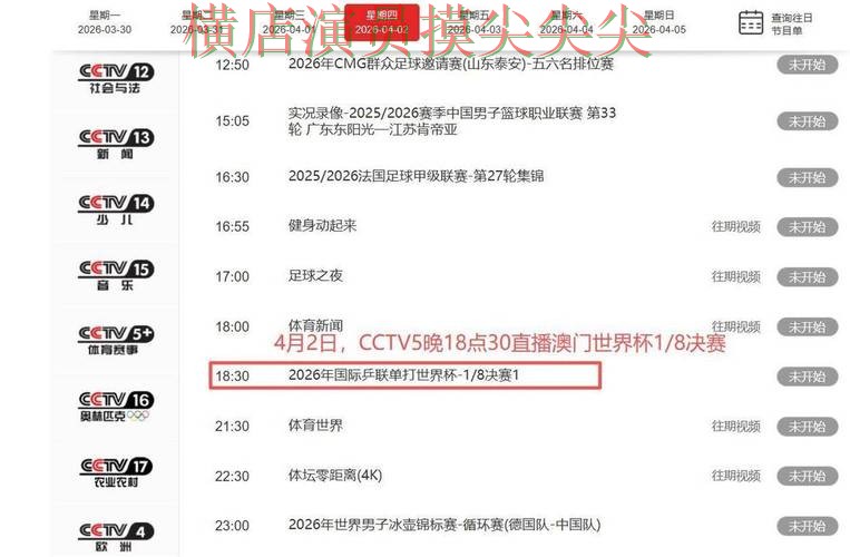 世界杯投注平台合集精选：聚焦平台排行与赛事直播体验 - 世界杯赛事中心